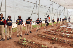 Krishi-Mela-3