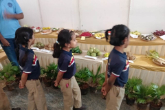Krishi-Mela-5