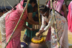 Sankranti Celebration